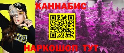 твердый Будённовск