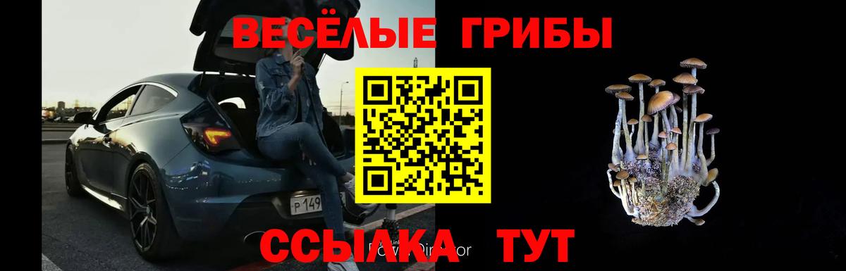 Ртищево  Псилоцибиновые грибы Cubensis  Вход с VPN 